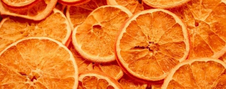 food dehydrator instructions