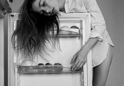 owners manual for kenmore refrigerator model 253